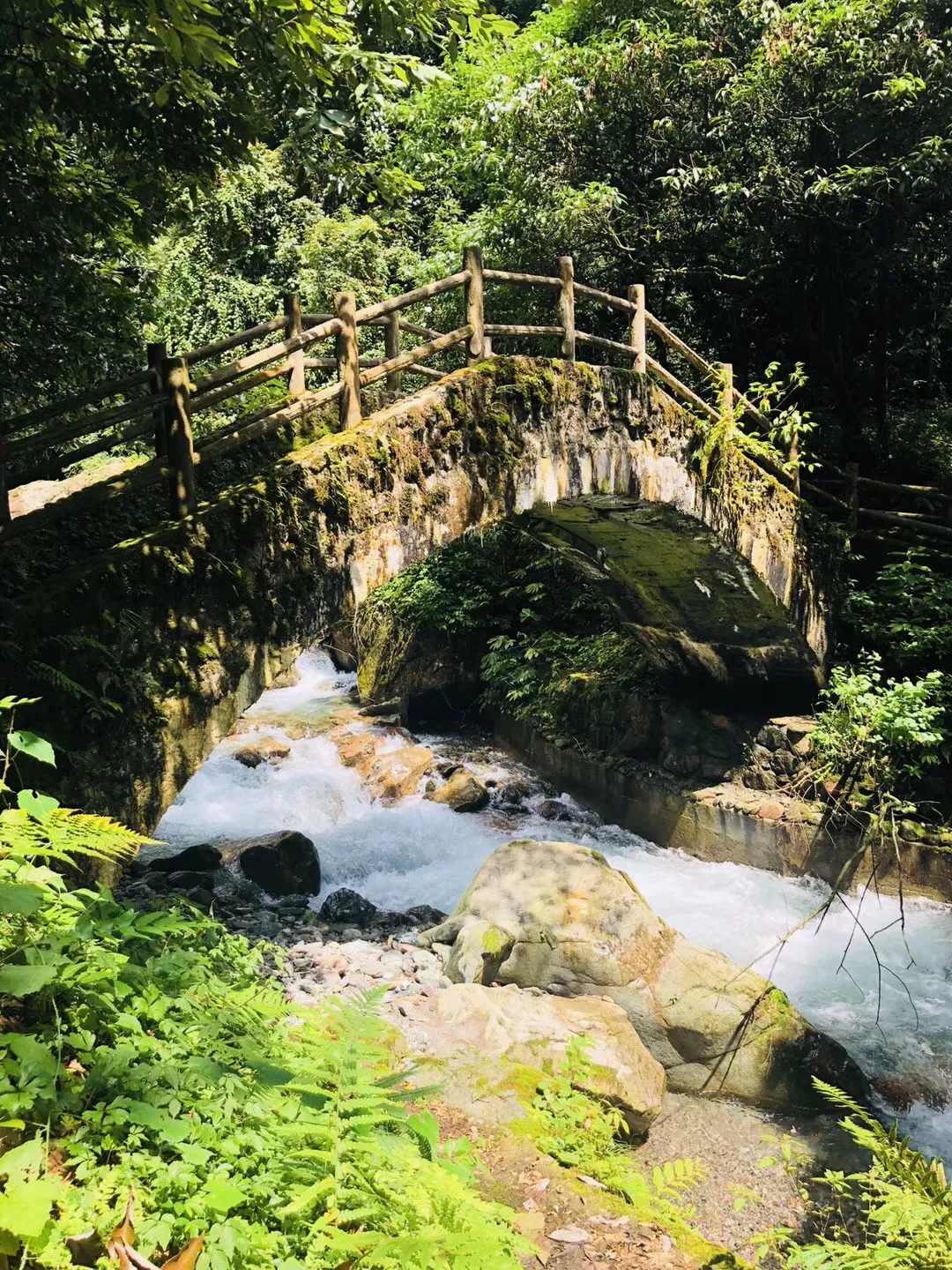 小学阶段,听听过来人的29条建议,淡定鸡娃!